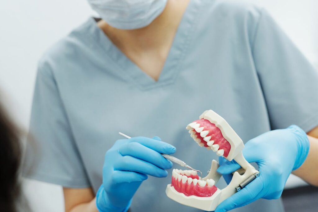 A Woman in Scrub Suit Holding a Teeth Figurine