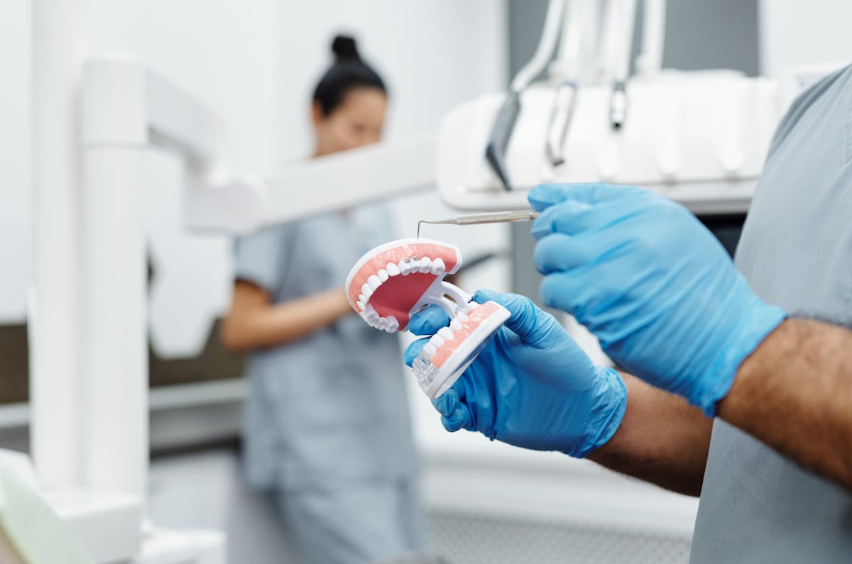 A Person with Blue Gloves Holding a Teeth Model